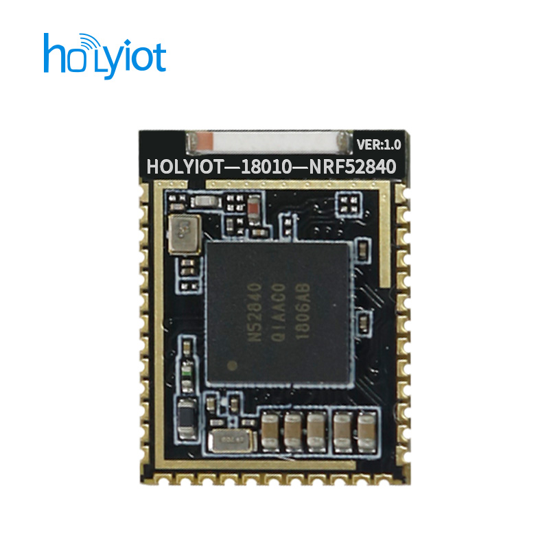 Holyiot long range Nordic nRF52840 chipset BLE module Ceramic Antenna Bluetooth low Energy for Bluetooth mesh