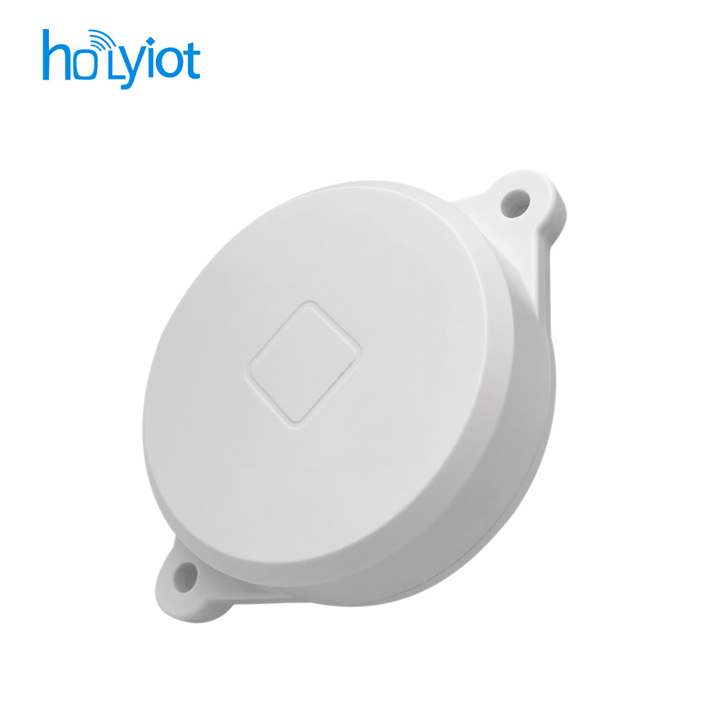 Holyiot 21080 Asset Beacon