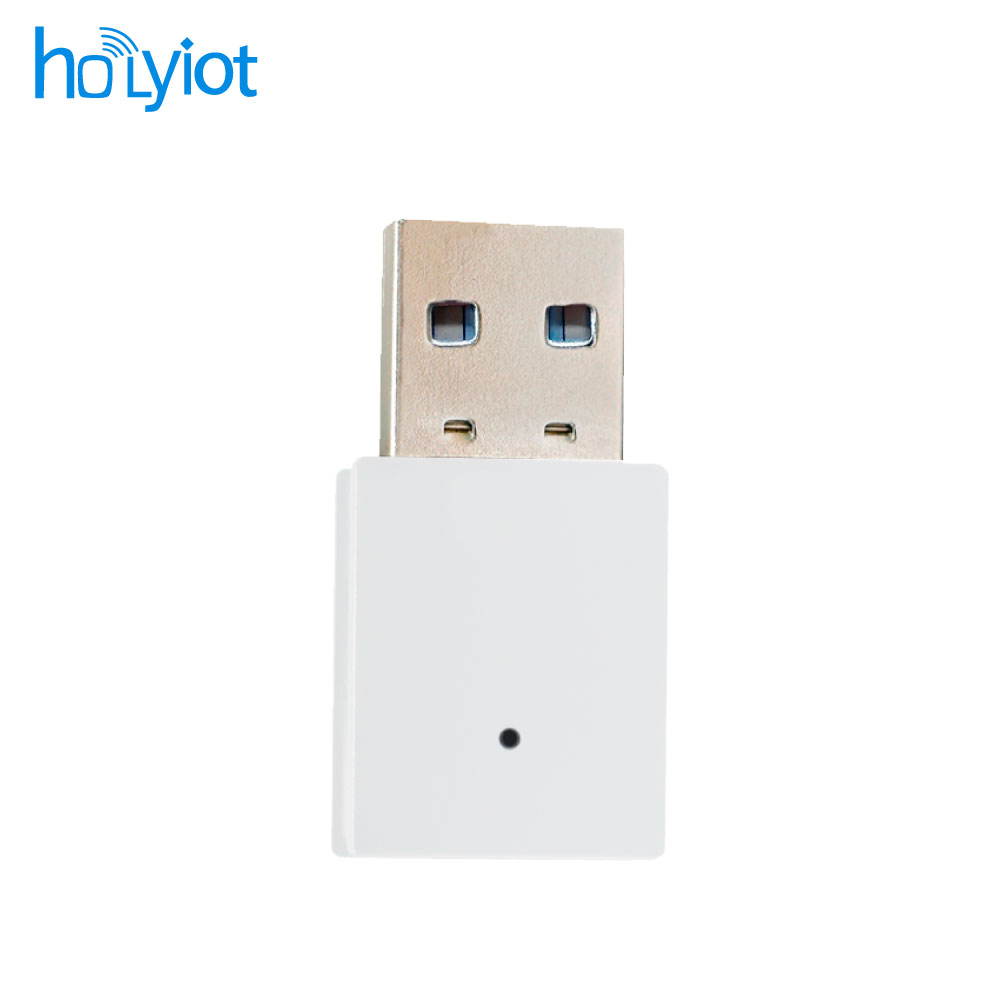 Holyiot 17120 USB Dongle