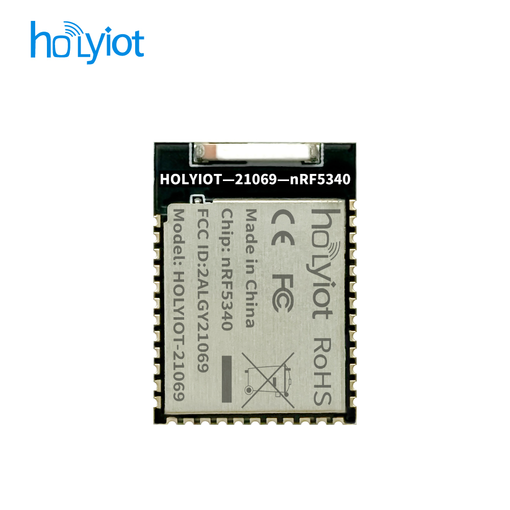 Holyiot-21069-nRF5340 Module