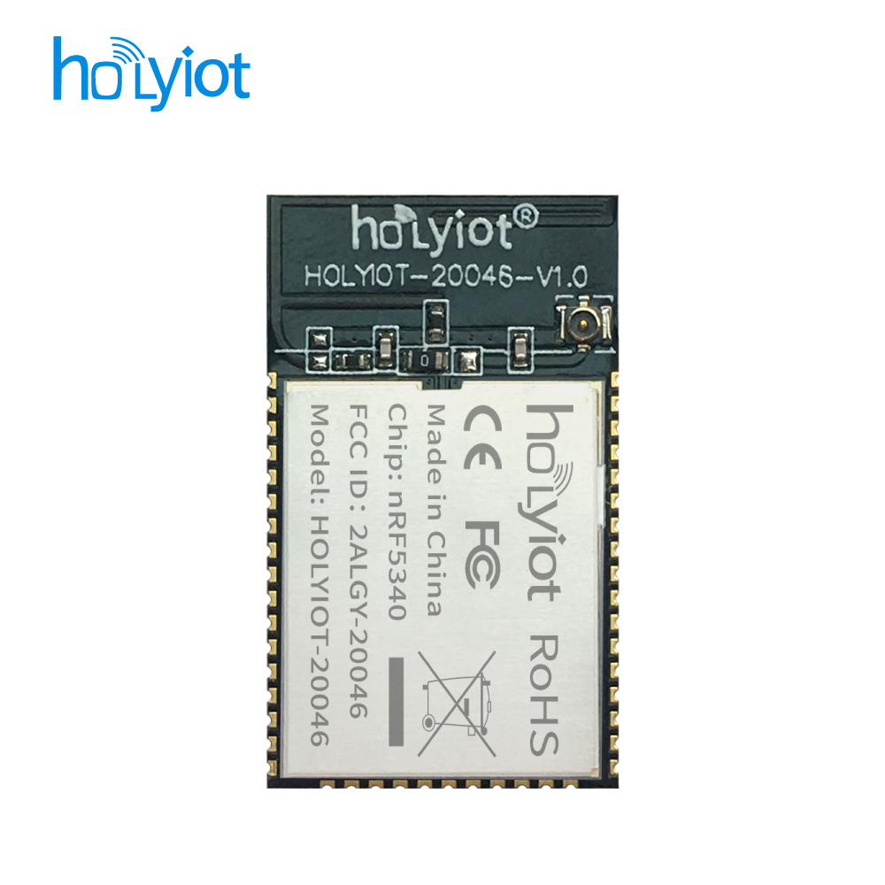 Holyiot-20046-nRF5340 Module