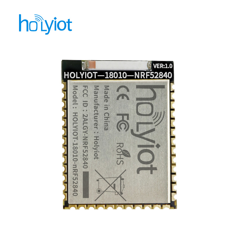 Holyiot-18010-nRF52840 Module