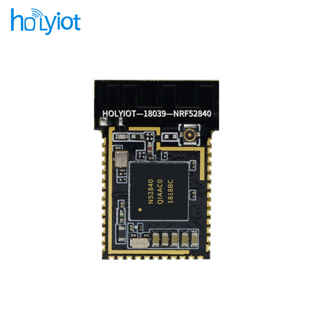 Holyiot-18039-nRF52840 Module