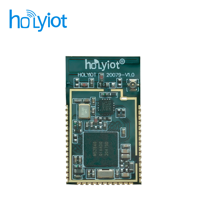 Holyiot-20079-nRF52840+PA Module