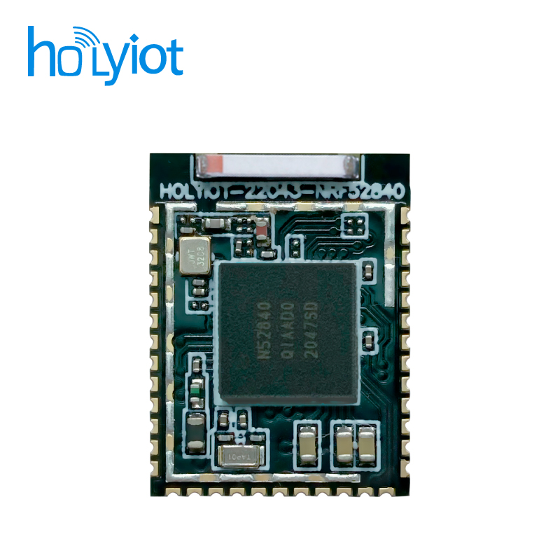 Holyiot-22043-nRF52840 Module