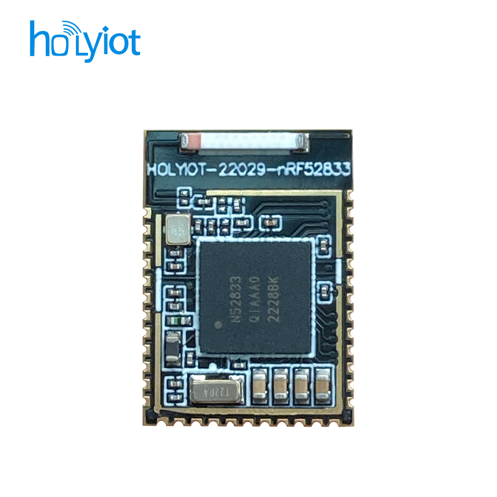 Holyiot-22029-nRF52833 Module