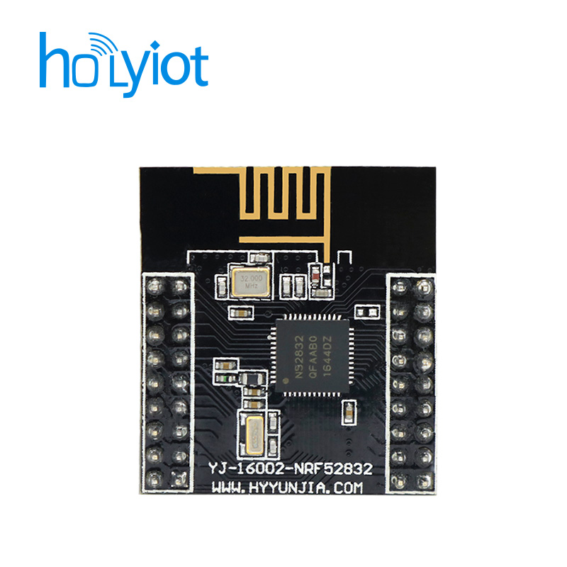 Holyiot-16002-nRF52832 Module