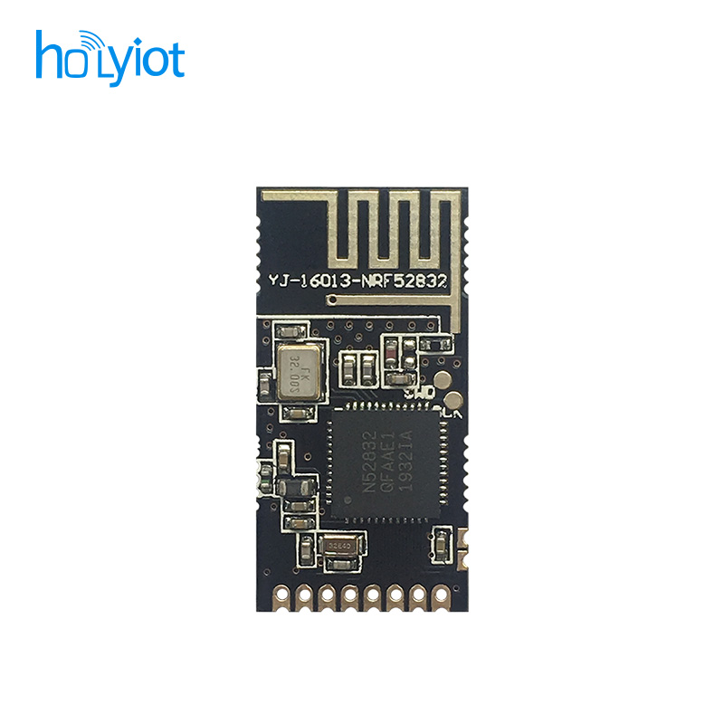 Holyiot-16013-nRF52832 Module