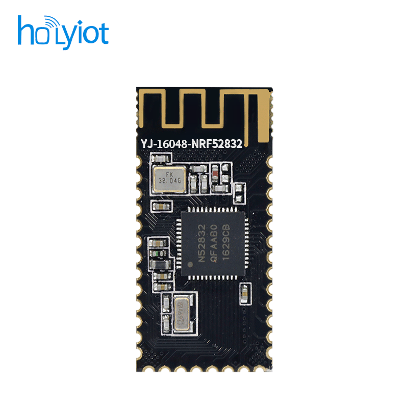 Holyiot-16048-nRF52832 Module