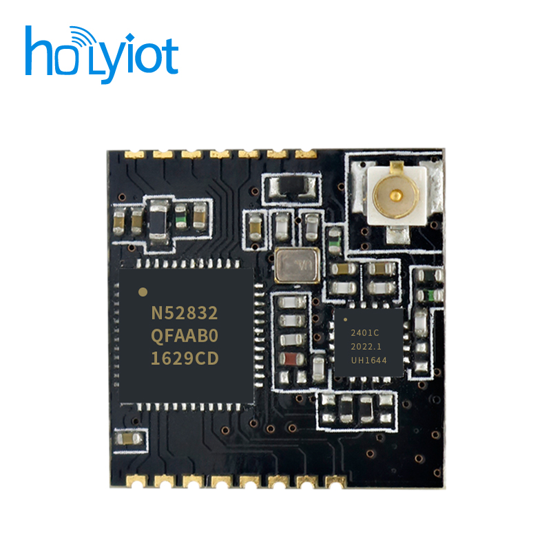 Holyiot-17024-nRF52832+PA Module