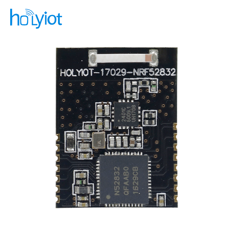 Holyiot-17029-nRF52832+PA Module