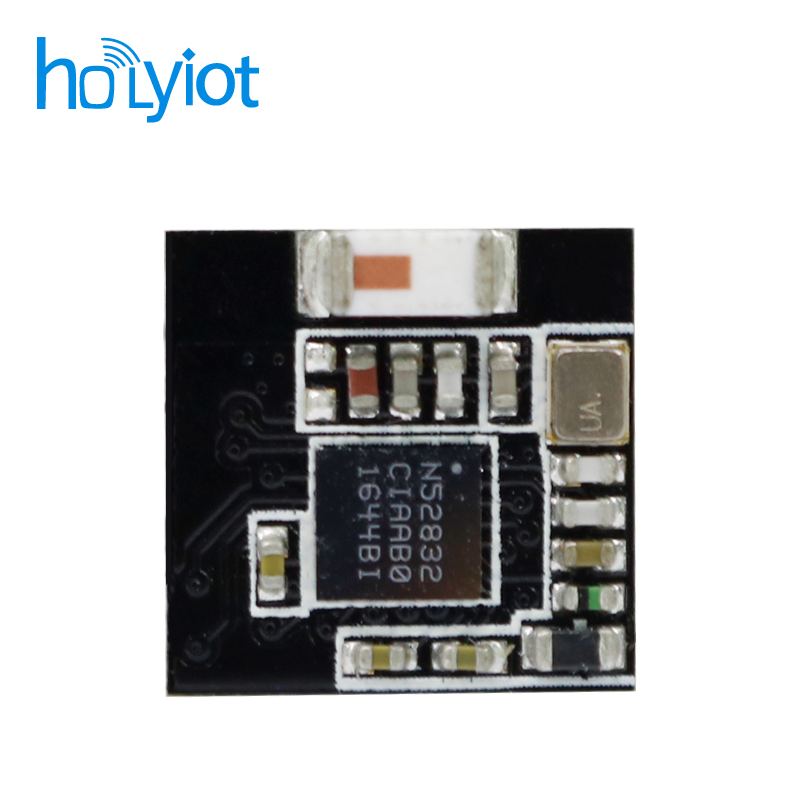 Holyiot-17095-nRF52832 Module