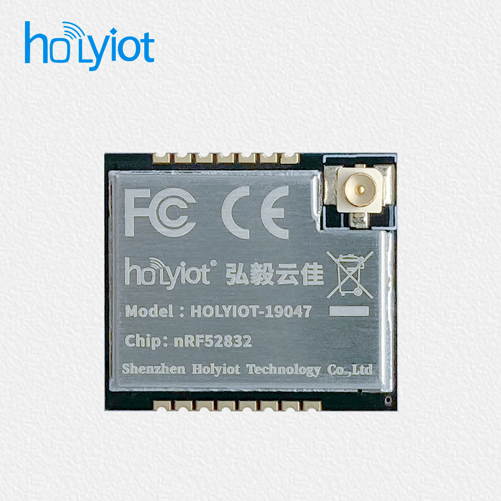 Holyiot-19047-nRF52832+PA Module