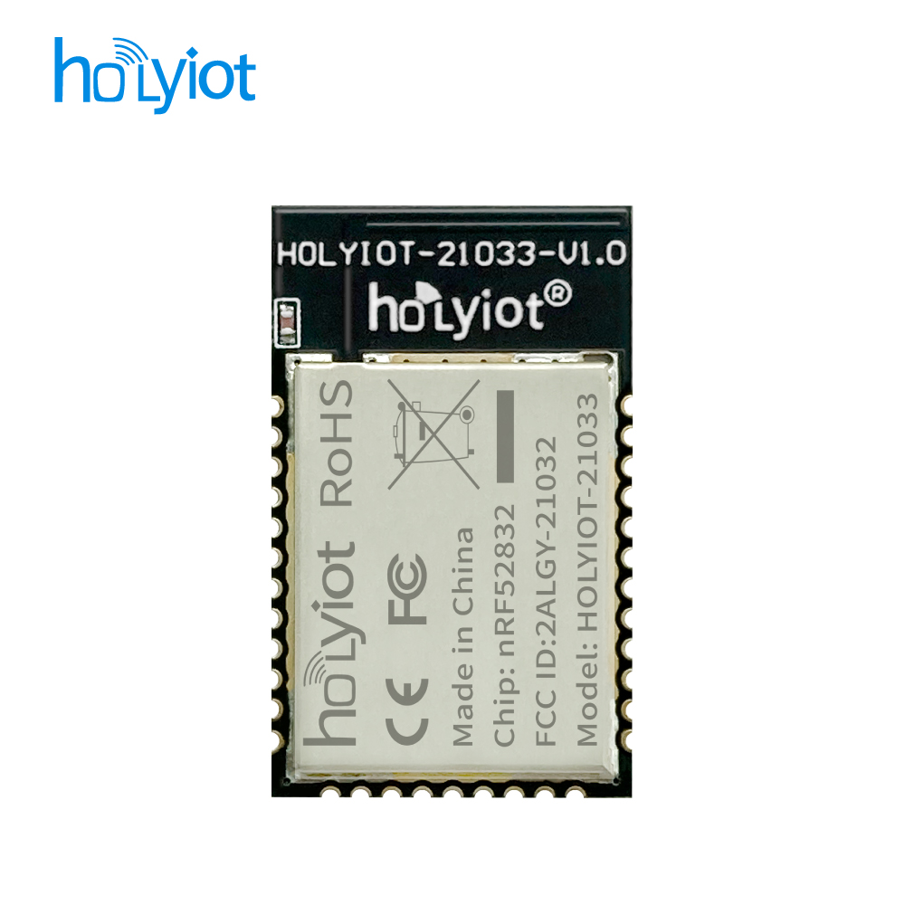 Holyiot-21033-nRF52832 Module