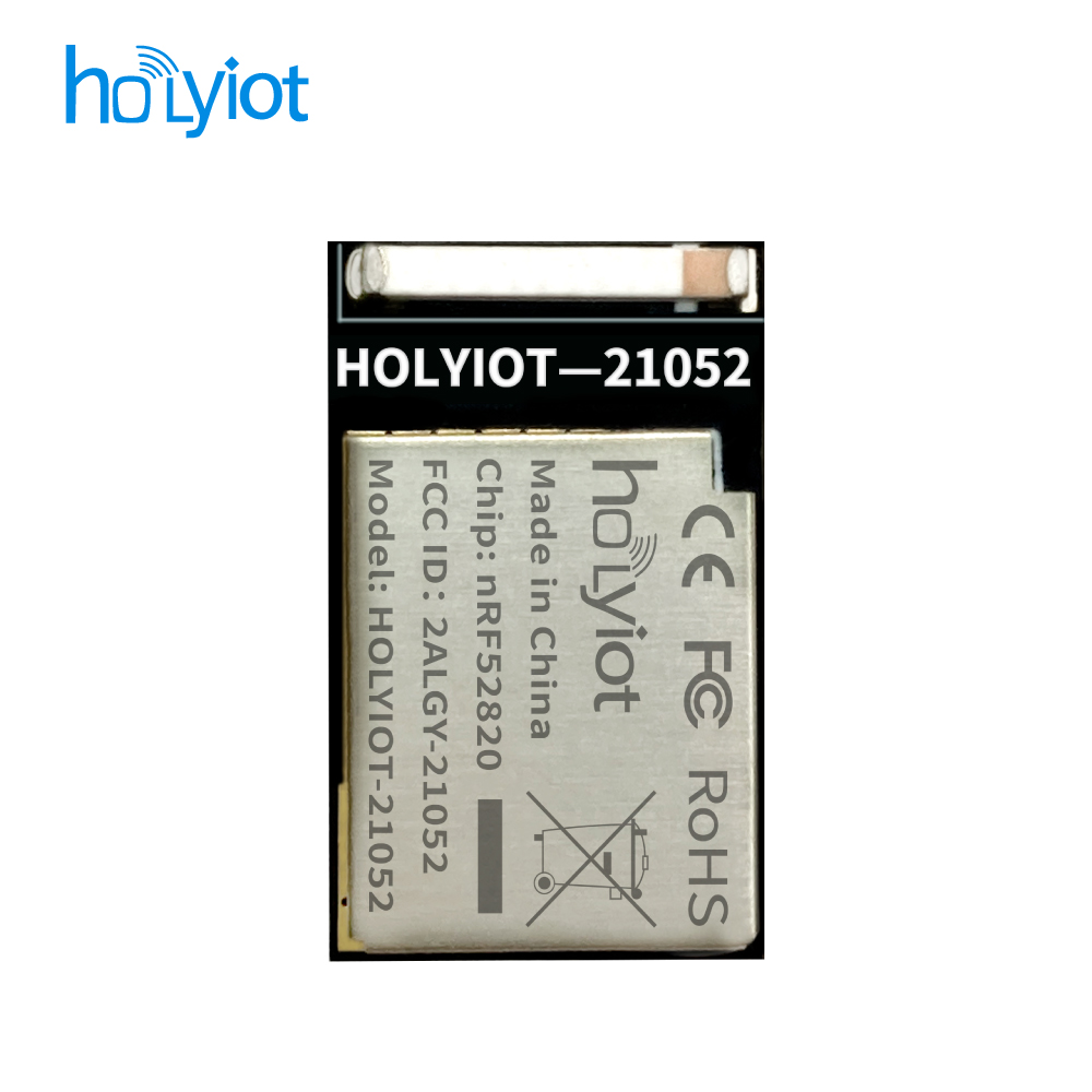 Holyiot-21052-nRF52820 Module