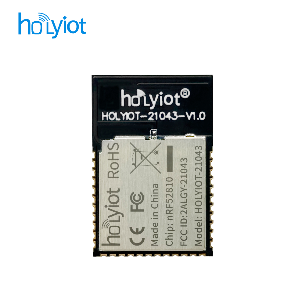 Holyiot-21043-nRF52810 Module