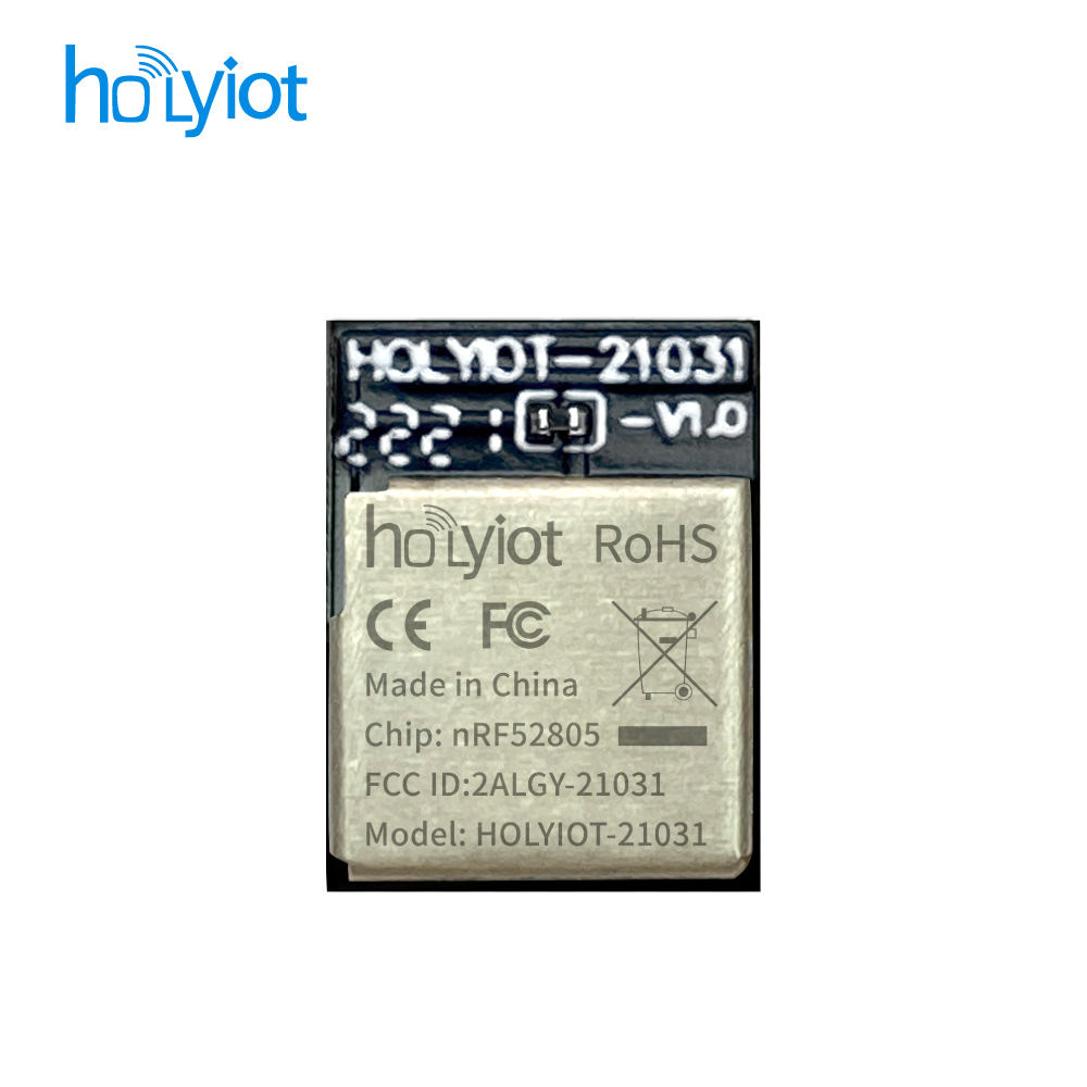 Holyiot-21031-nRF52805 Module