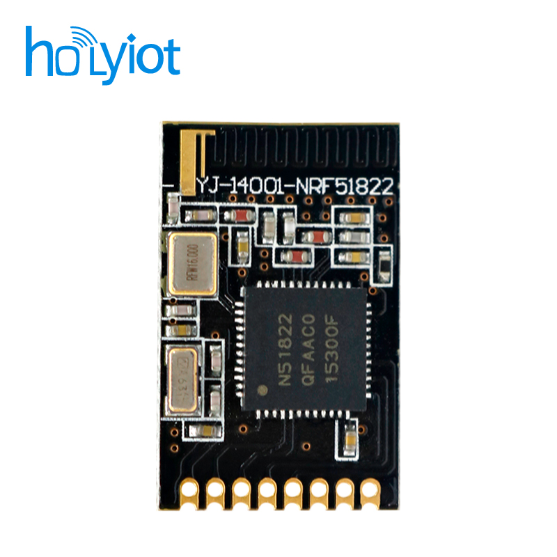 Holyiot-14001-nRF51822 Module