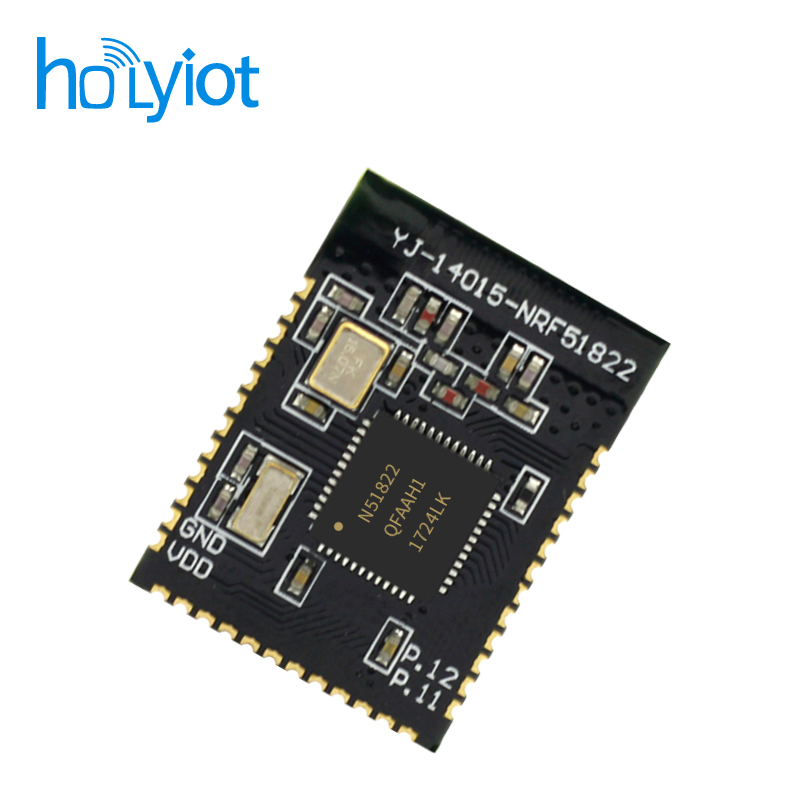 Holyiot-14015-nRF51822 Module