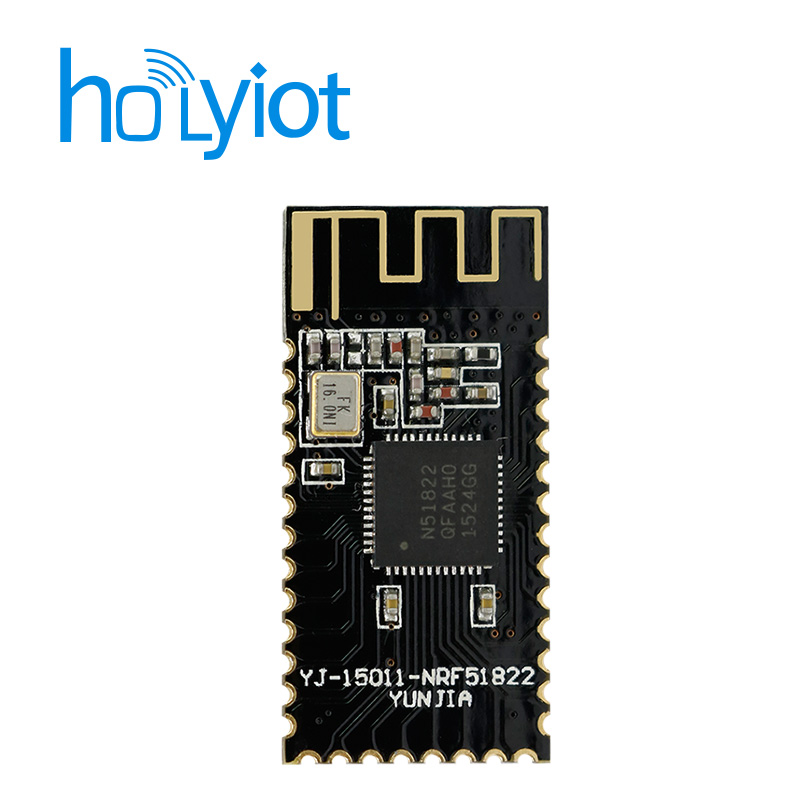 Holyiot-15011-nRF51822 Module