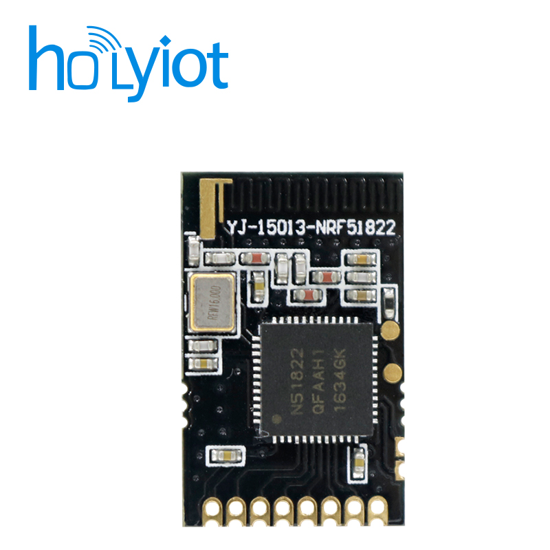 Holyiot-15013-nRF51822 Module