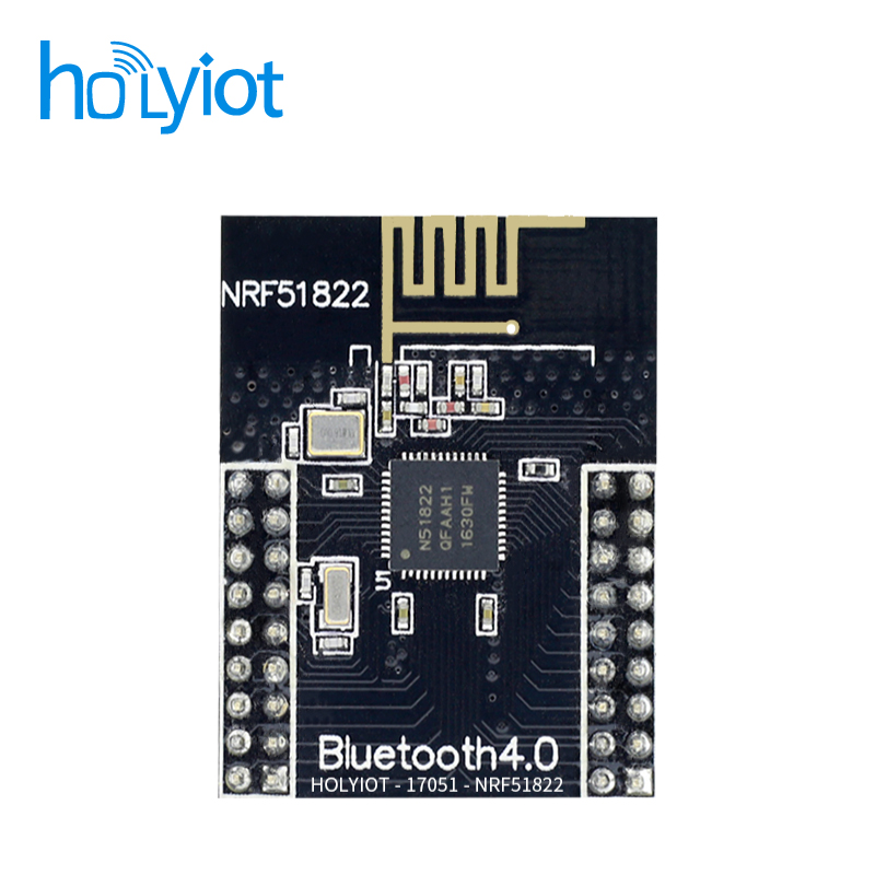 Holyiot-17051-nRF51822 Module