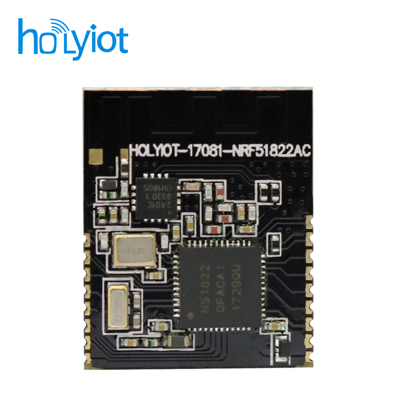 Holyiot-17081-nRF51822+PA Module