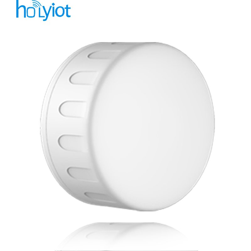 Holyiot 23006 Asset Beacon