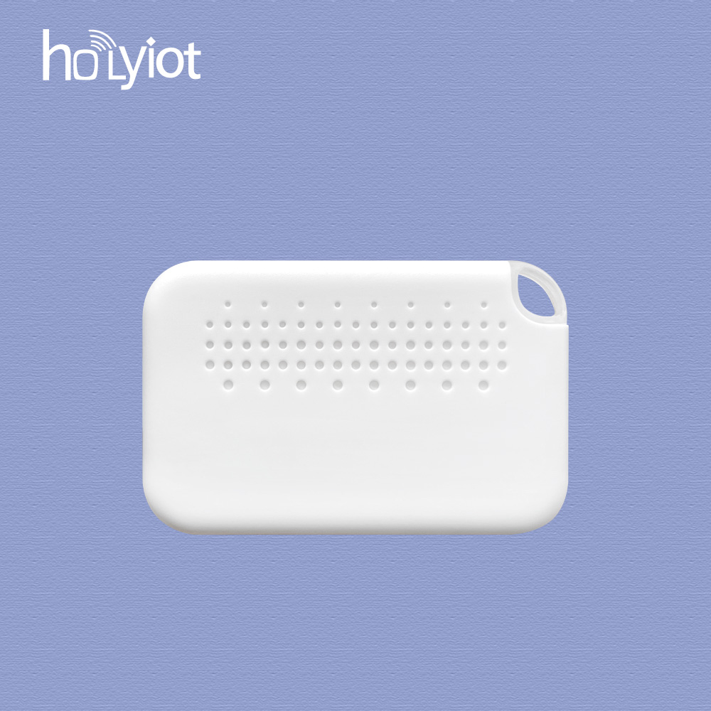 Holyiot-22040 Asset Tag