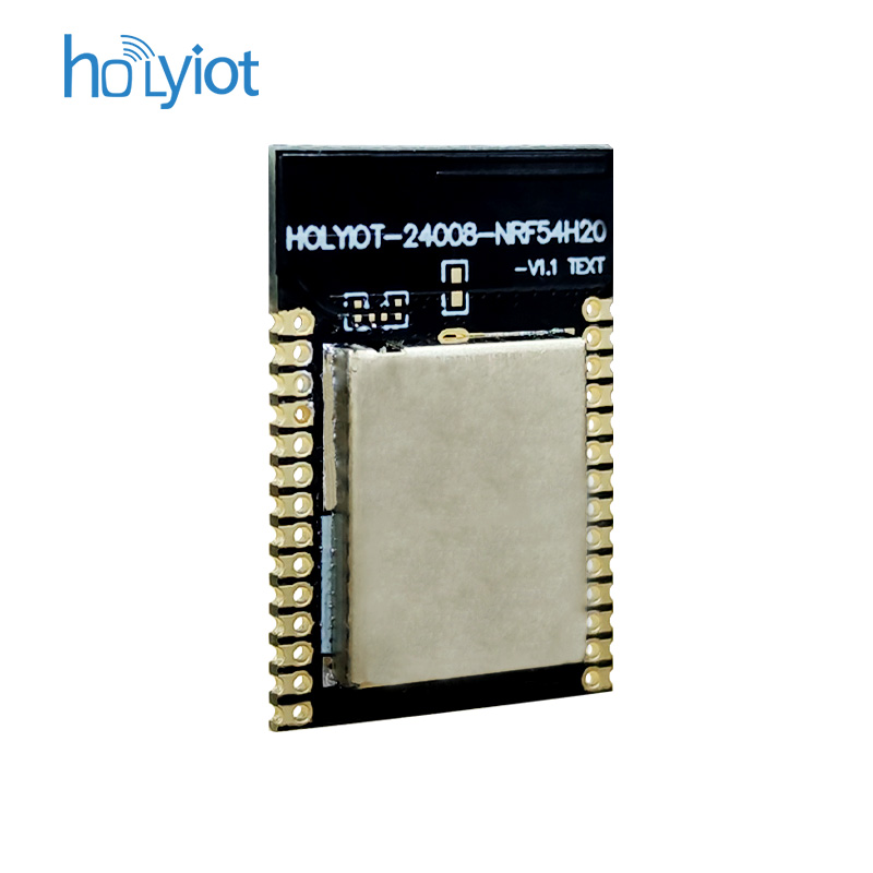 Holyiot-24008-nRF54H20Module